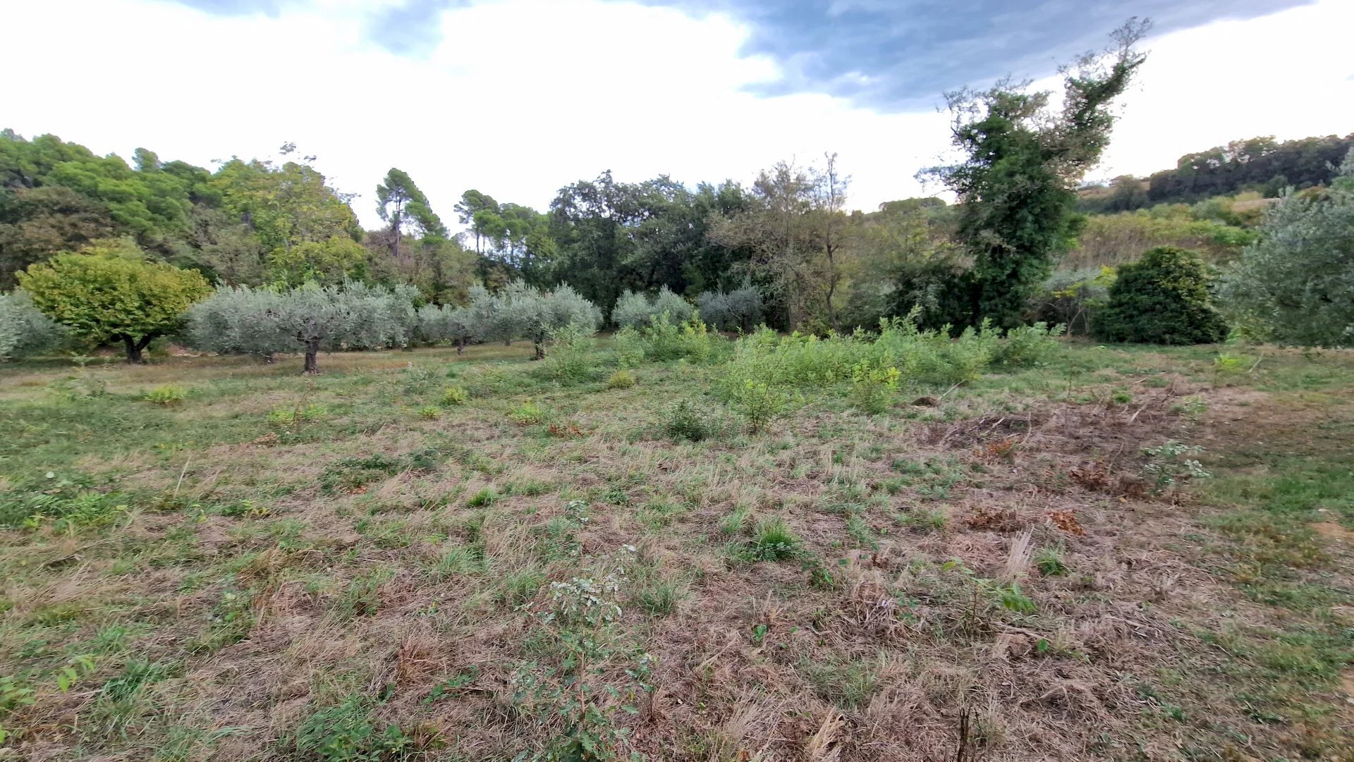 Terreno agricolo Pescara - foto 2