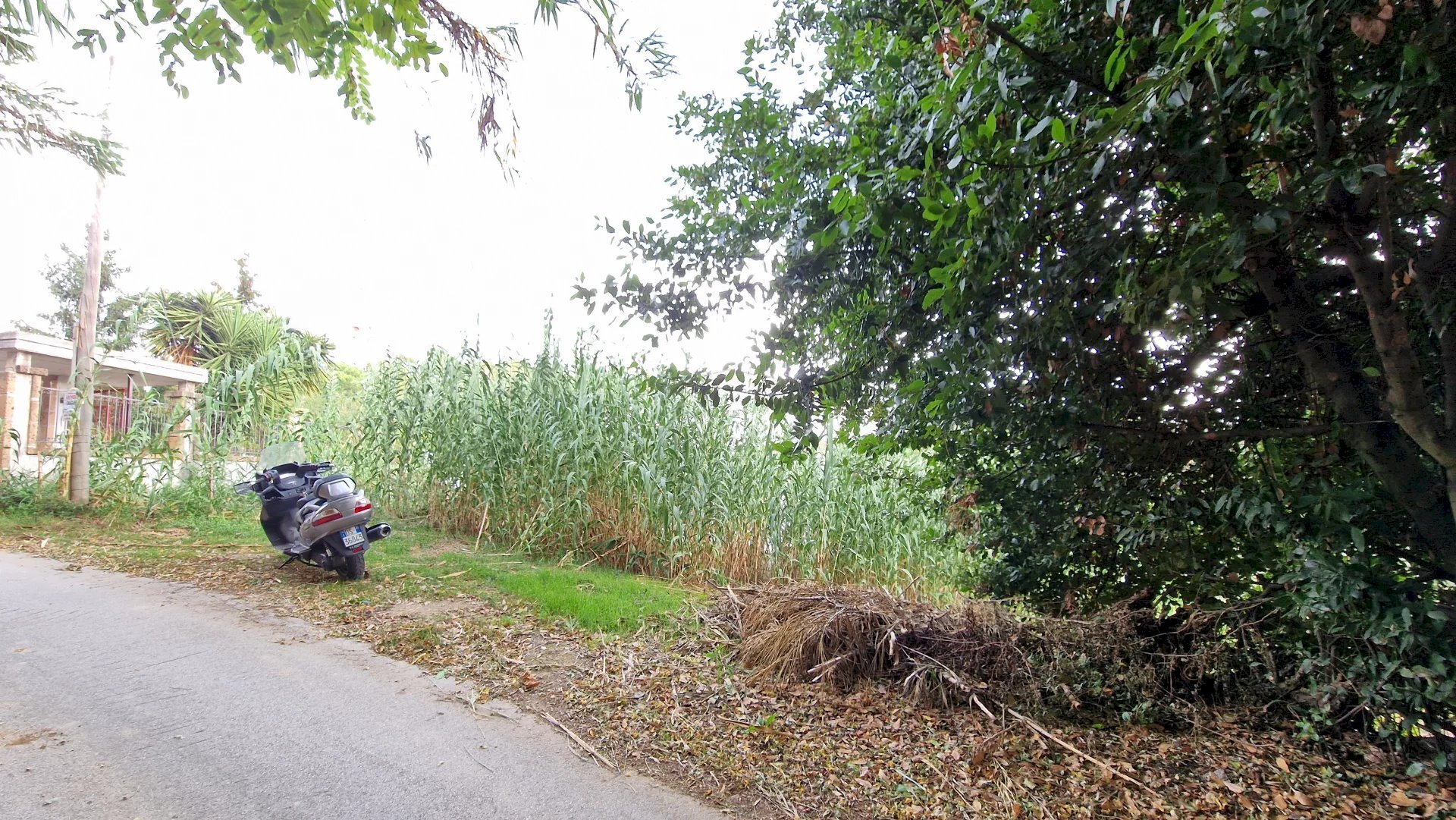 Terreno agricolo Pescara - foto 3