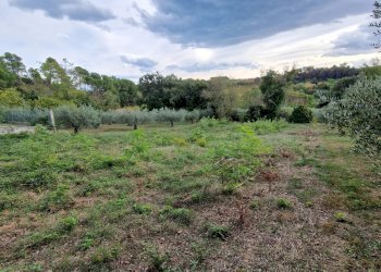 Terreno agricolo Pescara - foto 1