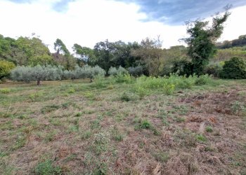 Terreno agricolo Pescara - foto 2