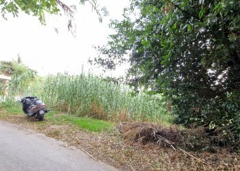 Terreno agricolo Pescara - foto 3