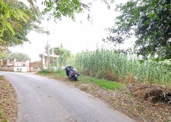 Terreno agricolo Pescara - foto 4