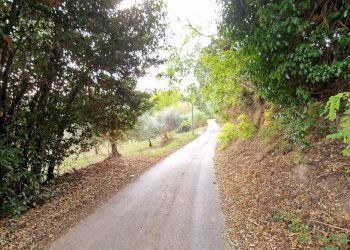 Terreno agricolo Pescara - foto 5