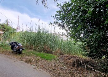 Terreno agricolo Pescara - foto 6