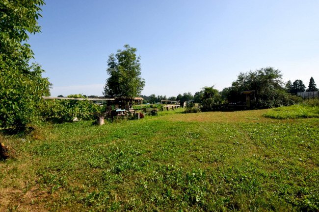 Terreno agricolo Pino Torinese - foto 3