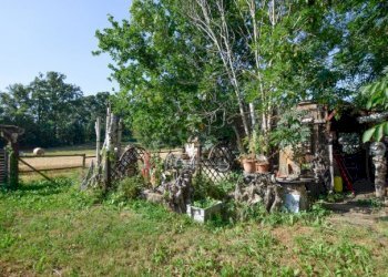 Terreno agricolo Pino Torinese - foto 4