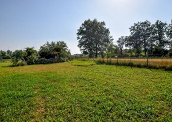 Terreno agricolo Pino Torinese - foto 5