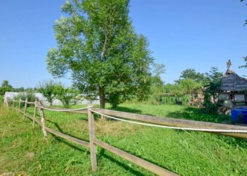 Terreno agricolo Pino Torinese - foto 6
