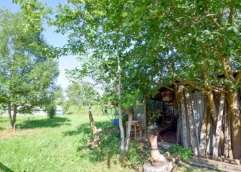 Terreno agricolo Pino Torinese - foto 8