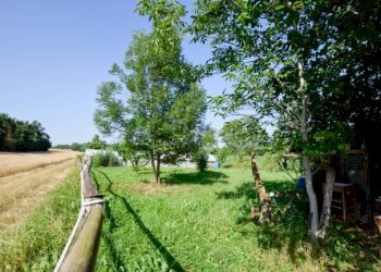 Terreno agricolo Pino Torinese - foto 9