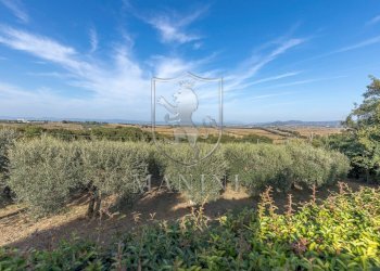 Rustico via dei partigiani, Castiglione del Lago - foto 12