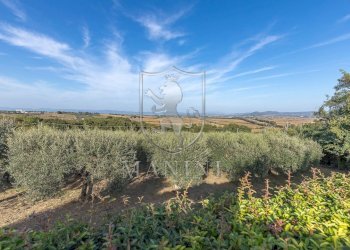 Rustico via dei partigiani, Castiglione del Lago - foto 25