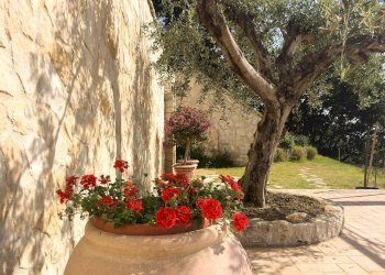 Villa Unifamiliare Contrada Colle Falcone, Guardialfiera - foto 11