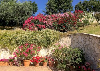 Villa Unifamiliare Contrada Colle Falcone, Guardialfiera - foto 13