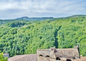 7.JPG - Appartamento Via Garibaldi 4, Poggio Moiano - foto 14