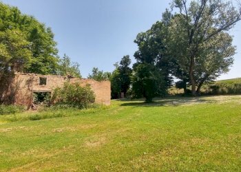 20220520_122753_HDR (FILEminimizer).jpg - Villa Bomporto - foto 27