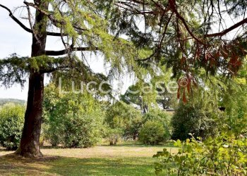 Villa Gragnano - photo 23