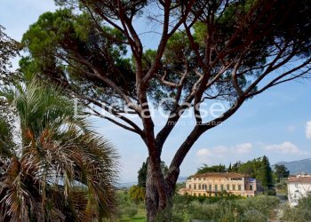 Villa Gragnano - photo 26