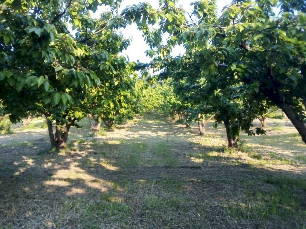 Warehouse via Merlano, Valsamoggia (neighborhood San Damaso) - photo 2