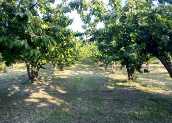 Warehouse via Merlano, Valsamoggia (neighborhood San Damaso) - photo 2