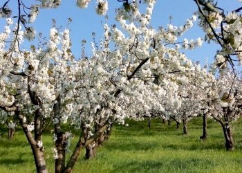 Warehouse via Merlano, Valsamoggia (neighborhood San Damaso) - photo 4