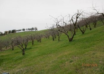 Warehouse via Merlano, Valsamoggia (neighborhood San Damaso) - photo 6