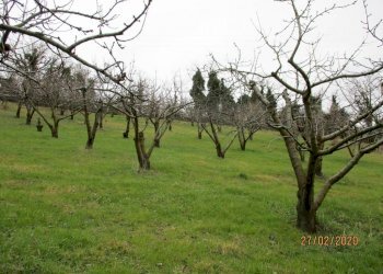 Warehouse via Merlano, Valsamoggia (neighborhood San Damaso) - photo 7