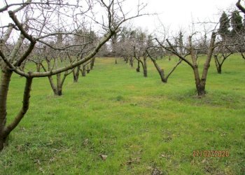 Warehouse via Merlano, Valsamoggia (neighborhood San Damaso) - photo 8