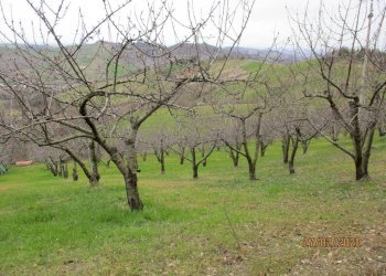 Warehouse via Merlano, Valsamoggia (neighborhood San Damaso) - photo 10