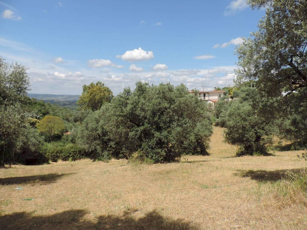 terreno - Terreno agricolo via Cagliari, Fara in Sabina - foto 1