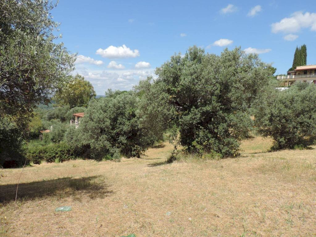 terreno - Terreno agricolo via Cagliari, Fara in Sabina - foto 3