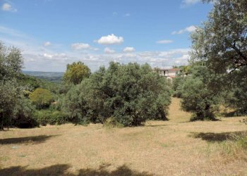 terreno - Terreno agricolo via Cagliari, Fara in Sabina - foto 1