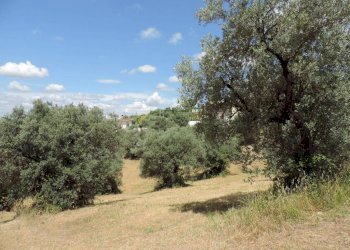 terreno - Terreno agricolo via Cagliari, Fara in Sabina - foto 2