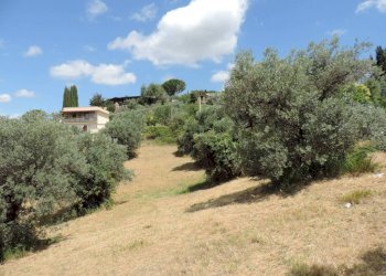 terreno - Terreno agricolo via Cagliari, Fara in Sabina - foto 4