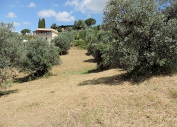 terreno - Terreno agricolo via Cagliari, Fara in Sabina - foto 6