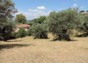 terreno - Terreno agricolo via Cagliari, Fara in Sabina - foto 8