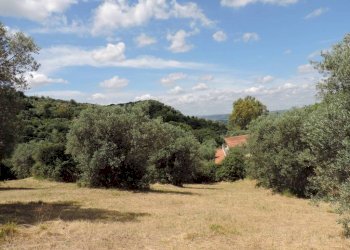 terreno - Terreno agricolo via Cagliari, Fara in Sabina - foto 9