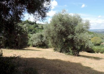 terreno - Terreno agricolo via Cagliari, Fara in Sabina - foto 10