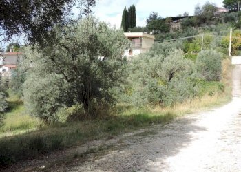 terreno - Terreno agricolo via Cagliari, Fara in Sabina - foto 11