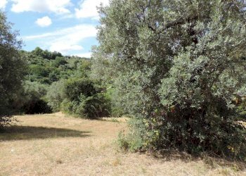 terreno - Terreno agricolo via Cagliari, Fara in Sabina - foto 12