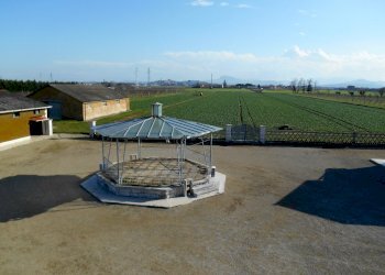 Rustico Santarcangelo di Romagna - foto 11