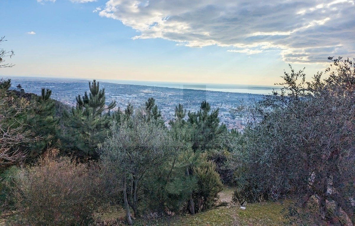 Panorama (7).jpg - Rustico Via Capezzano 33, Pietrasanta - foto 1