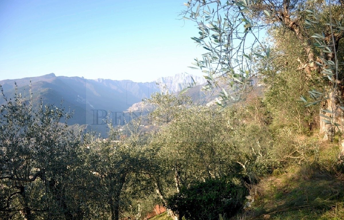 Panorama (6).jpg - Rustico Via Capezzano 33, Pietrasanta - foto 2