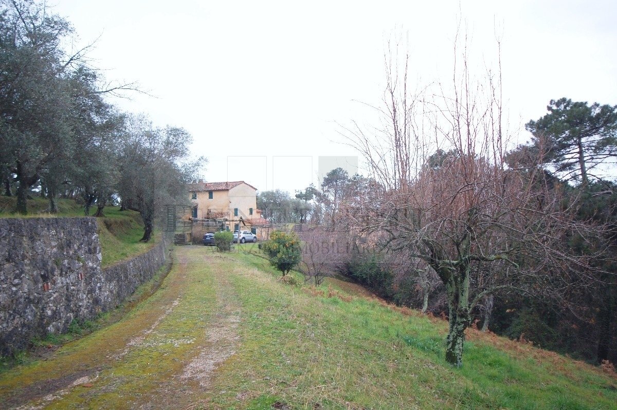 Edificio A (1).JPG - Rustico Via Capezzano 33, Pietrasanta - foto 3