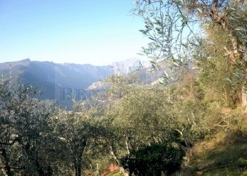 Panorama (6).jpg - Rustico Via Capezzano 33, Pietrasanta - foto 2