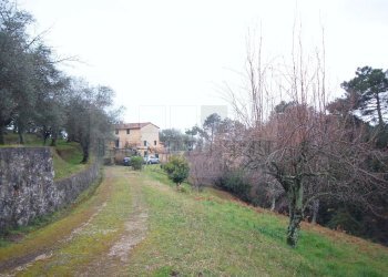 Edificio A (1).JPG - Rustico Via Capezzano 33, Pietrasanta - foto 3