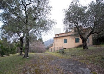 Edificio A (3).JPG - Rustico Via Capezzano 33, Pietrasanta - foto 4