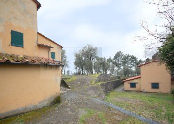 Esterno (1).JPG - Rustico Via Capezzano 33, Pietrasanta - foto 10