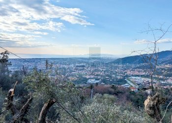 Panorama (1).JPG - Rustico Via Capezzano 33, Pietrasanta - foto 14