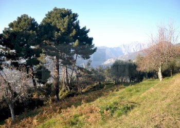 Panorama (4).jpg - Rustico Via Capezzano 33, Pietrasanta - foto 15